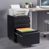 3 Drawer Mobile Locking File Cabinet, Rolling Filing Cabinet for Letter/A4 Size With 5 Wheels - BLACK