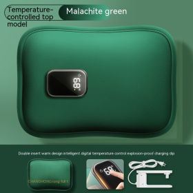 Electric Water Bag Charging Explosion-proof (Option: Green-Digital display-220V US)