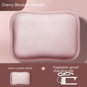 Electric Water Bag Charging Explosion-proof (Option: Pink-Ordinary-220V US)